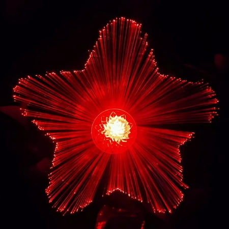 

SHIMELE Solar Powered Jellyfish Lights Led Outdoor Garden Lights Decorative Lights Balcony Mood Lights