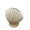 A, variant on Feledorashia Shell Planter, Ceramic Vase, Seashell Shaped Flower Pot for Lushs and Desk Accessories, Matte Finish, Weighted Base, Beach-Themed Home Decoration, Multi-Purpose Storage Container