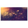 thumbnail image 2 of Design Art - Photo Vintage de Prairie de Pissenlits, 2 of 4