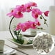 thumbnail image 3 of 75g/400g Sphagnum Moss Moisturizing Organic Fertilizer For Orchid Phalaenopsis, 3 of 4