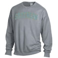 thumbnail image 2 of Men's ComfortWash Gray Southern University Jaguars Garment Dyed Fleece Crewneck Pullover Sweatshirt, 2 of 3