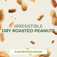 thumbnail image 4 of Beyond Nature Dry Roasted Peanuts – Unsalted 2 Pound (32 oz) Vacuum Sealed Non GMO, No Oil & No Salt, Low Carb, Keto Friendly & Vegan Snack, 4 of 8
