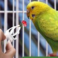 thumbnail image 2 of Sinyiin 3 Pack Bird Snack Holder Durable Plastic Clips Food Feeder for Cage Easy to Use, 2 of 12