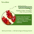 thumbnail image 4 of NEWELLME Sugar-Free Apple Cider Vinegar (ACV) Gummies with The Mother & B12, Vegan Organic Vitamin Gummies for Digestion, Energy & Metabolism,Gluten-Free, Multivitamin Support, 4 of 8