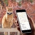 thumbnail image 4 of Cat Collar Compatible With Air Tag, Adjustable Cat Collar With Bell & Air Tag Holder & Safely Buckle, 4 of 5