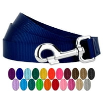 Country Brook Petz® 1 inch Nylon Dog Leash - Royal Blue, 6 Foot