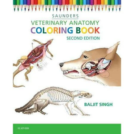 Download Veterinary Anatomy Coloring Book - Walmart.com