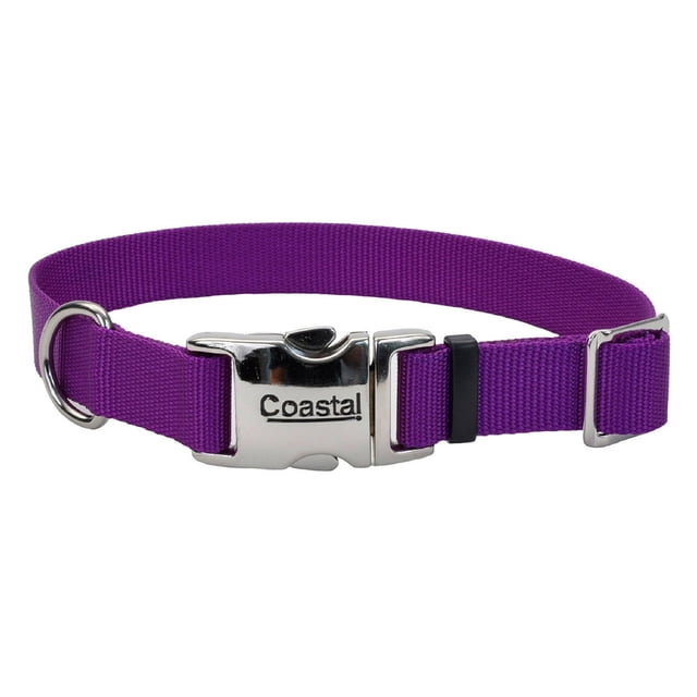 Collar para Perro Coastal Ajustable con Hebilla Metálica Morado 2.5x46 cm