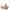 Khaki, variant on Ltctricy Women's Seamless Push up Bras Comfortable Wireless Support Lift Full Coverage Bralettes Soft Everyday Bras