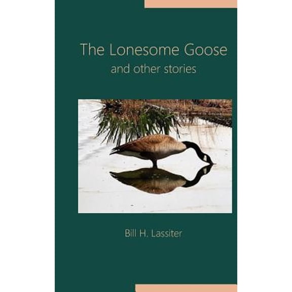 The Lonesome Goose and Other Stories (Paperback)
