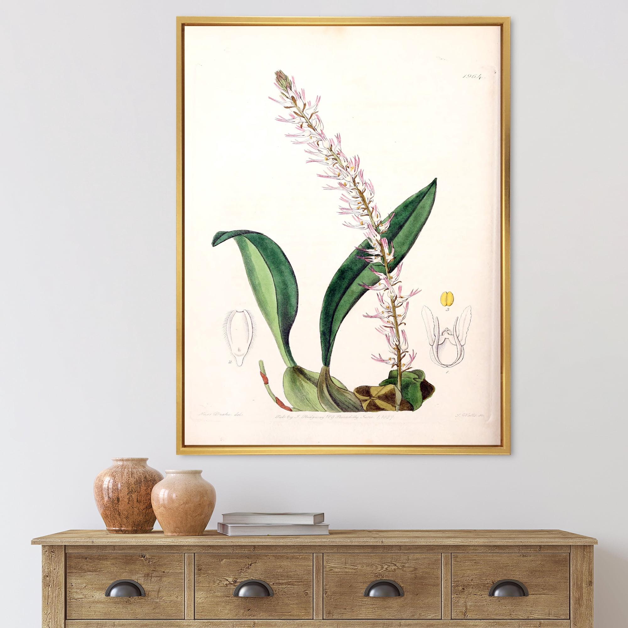 Designart 'Ancient London Plants V' Traditional Framed Canvas Wall Art Print