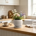 thumbnail image 4 of Ceramic Vase with Tray Spherical Striped Flower Pot Planter Desktop Flower Vase for Home Decor Matte Solid Color Tabletop Vase for Fresh Or Dry Flowers for Kitchen Office Shelf 5.71X5.71X4.13 inch, 4 of 6