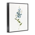 thumbnail image 2 of Stupell Industries Transitional Delicate Blue Sprigs Black Framed Giclee Art, 11 x 14, by Sally Swatland, 2 of 8