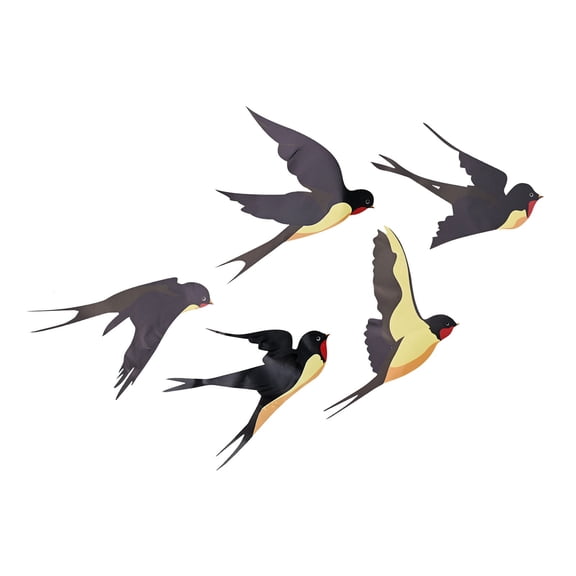 Unique Bird Wall Stickers For Modern Home Decor Set Of 5 Peelable Vinyl Decals