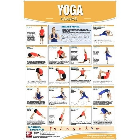 Productive Fitness Poster Yoga Exercises Non Laminated
