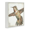 thumbnail image 3 of Stupell Industries Muted Hummingbird Portrait Animals Painting White Framed Art Print Wall Art, 24 x 24, 3 of 9