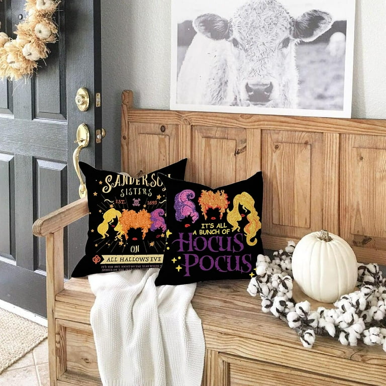 Halloween pillow covers 18x18 hotsell