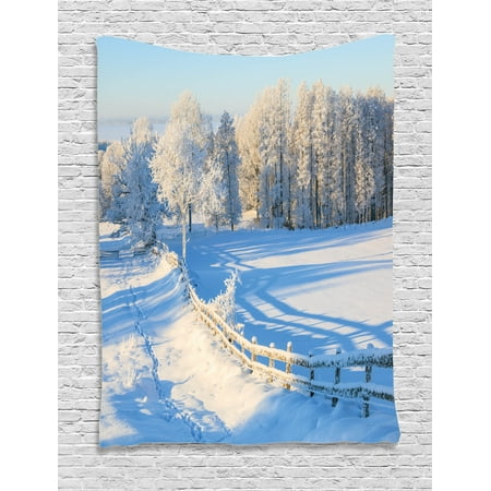Valley Oak Decor Kit - Farmland Tapestry, Winter Snow Valley with Oak Borders Pines Frozen Pastoral High Cold Lands Art, Wall Hanging for Bedroom Living Room Dorm Decor, White Blue, by Ambesonne