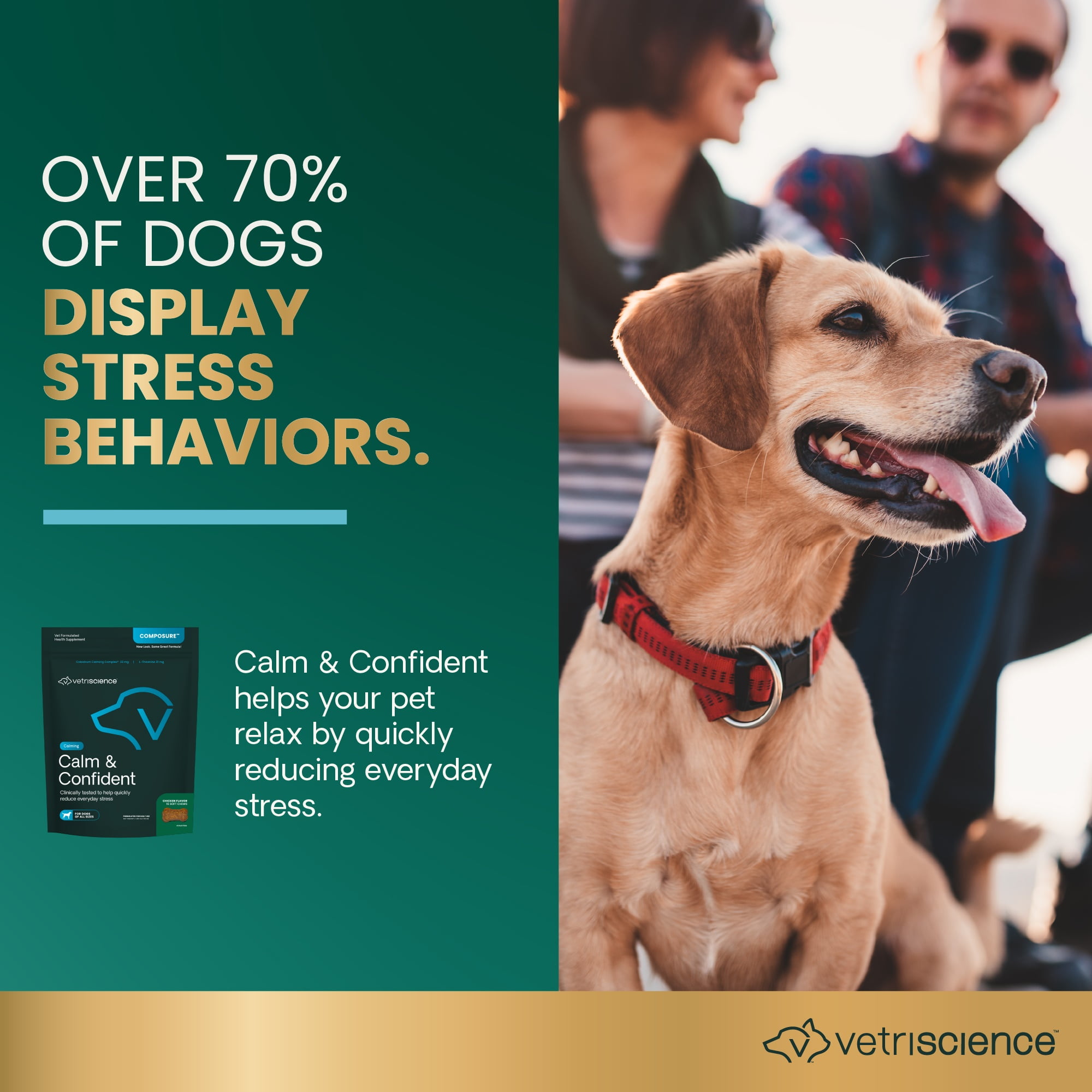 VetriScience Long Lasting Calm & Confident Anxiety Support Soft Chews for Dogs, Chicken, 30 Count Bag