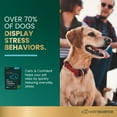 thumbnail image 3 of VetriScience Long Lasting Calm & Confident Anxiety Support Soft Chews for Dogs, Chicken, 30 Count Bag, 3 of 11