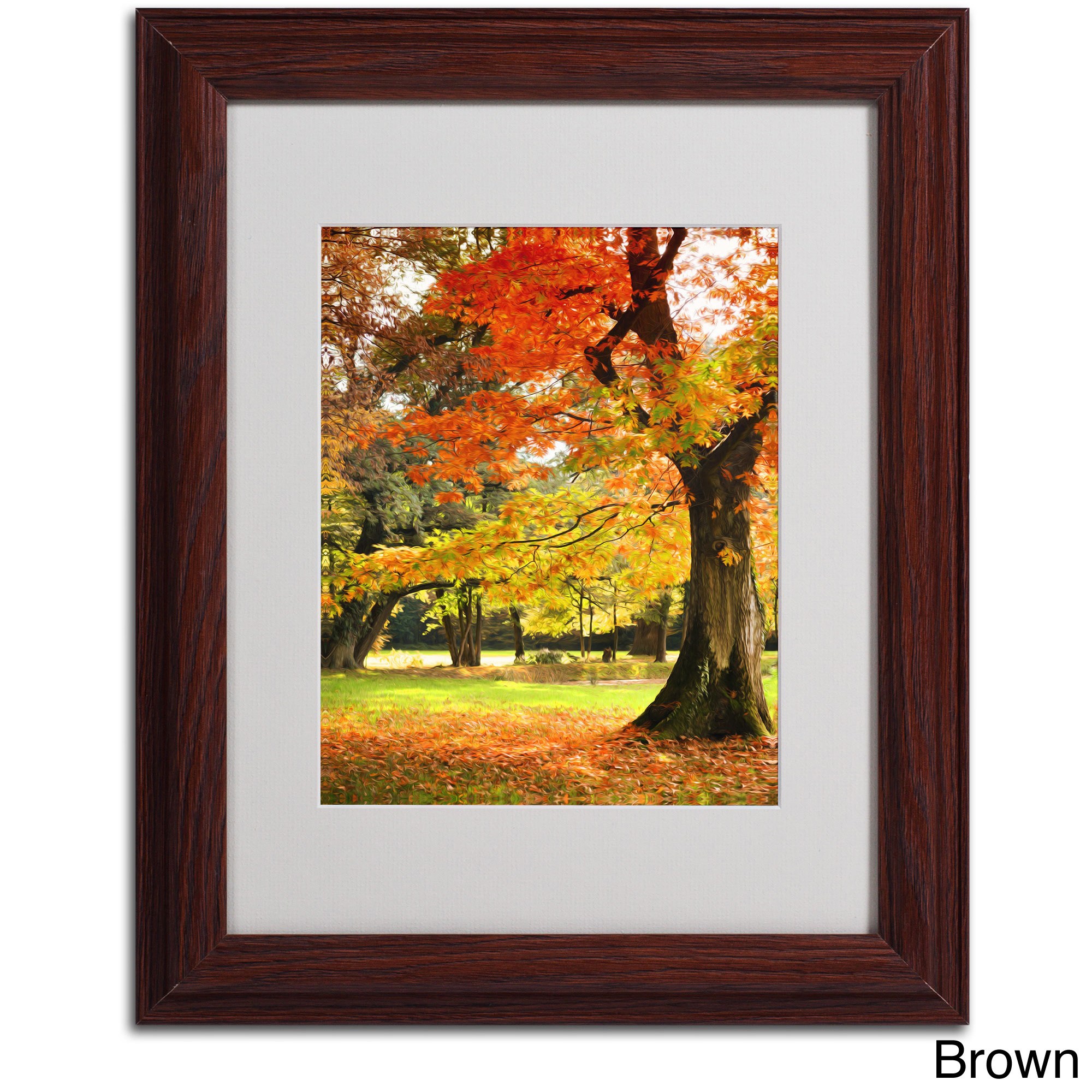 Trademark Fine Art "Dance of Colors" Canvas Art by Philippe Sainte-Laudy, Black Frame