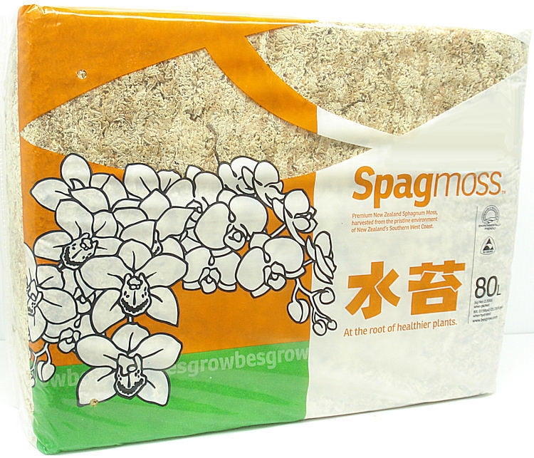 Мох сфагнум Spagmoss