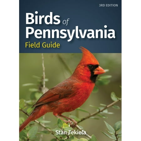 ISBN 9781647550882