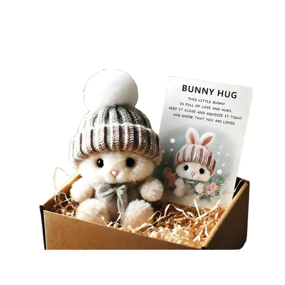 SSNTSY 5.9" Mini Bunny Hug Cute Easter Gift Knitted Rabbit Box Gift Easter plush Bunny Pocket Toy Stuffed Bunny with Inspirational Card for Easter Party Favors Gift