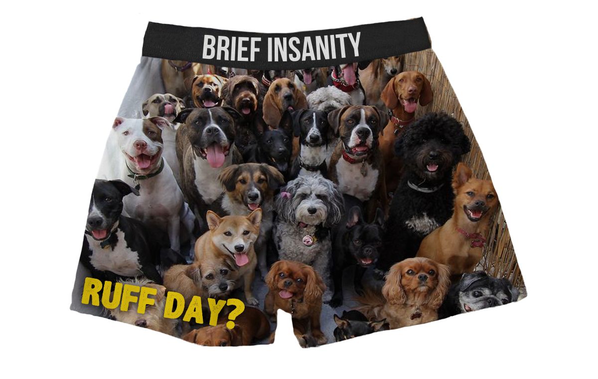 Dean Russo Cat Lovers Whiskers Silky Fun Unisex Briefs Boxer Shorts Gifts for Men Women