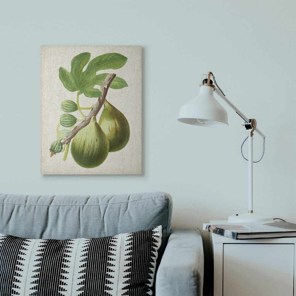 Stupell Industries Vintage Fruit Fig Painting Canvas Wall Art by Vision Studio