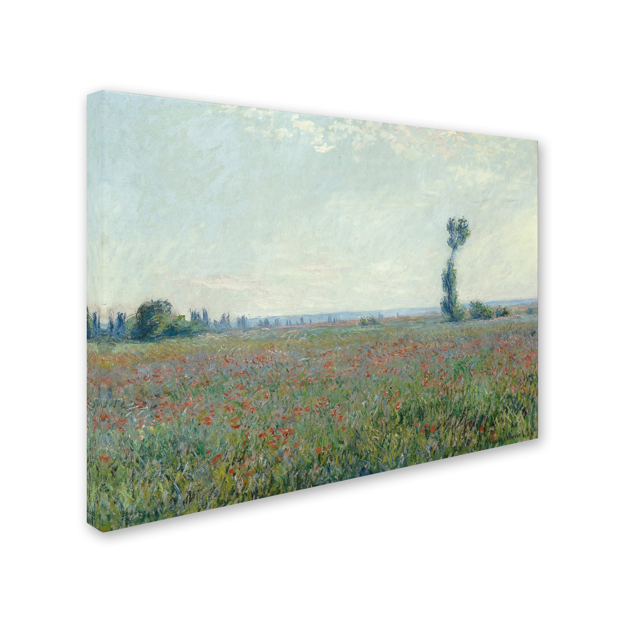 Monet 'Poppy Field' Canvas Art