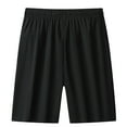 thumbnail image 4 of Chroia Women Plus Size Ice Silk Quick Drying Shorts, Iced Active Stretch Shorts, 4 of 6