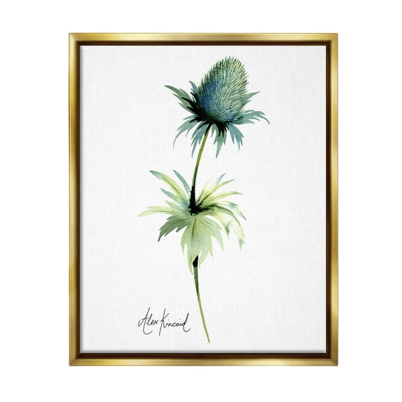 Stupell Industries Simple Thistle Plant Botanical & Floral Painting Gold Floater Framed Canvas Art Print Wall Art, 17 x 21