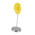 thumbnail image 4 of Modelo de oreja de silicona, parte del cuerpo, herramienta de enseñanza, maniquí reutilizable, organizador de orejas para Derecha amarilla, 4 of 9