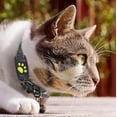 thumbnail image 1 of Collier Traqueur Gps Intelligent pour Chat et Chien, 1 of 4