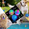 thumbnail image 2 of 3pcs Multicolor Elastic Glitter Ball Led Lighting Interactive Dog, 2 of 4