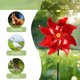thumbnail image 4 of Fiudx Molinos de Viento Reflectantes, Decoración Brillante para Jardín, Ahuyentadores de Aves, Fácil Instalación, Elegante Diseño para Jardín, Juego de 6, 24 X 21 Cm, 4 of 6