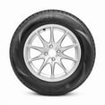 thumbnail image 3 of Radar RPX 800 205/55R17XL 83W BSW Tire, 3 of 6