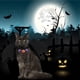 thumbnail image 5 of 20 piezas campanas de cabaza Colcomx Adornos de bricolaje Halloween, 5 of 7