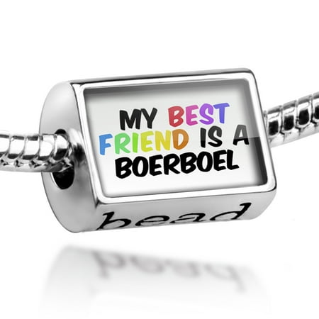 Bead My best Friend a Boerboel Dog from South Africa Charm Fits All European (Best South African Websites)