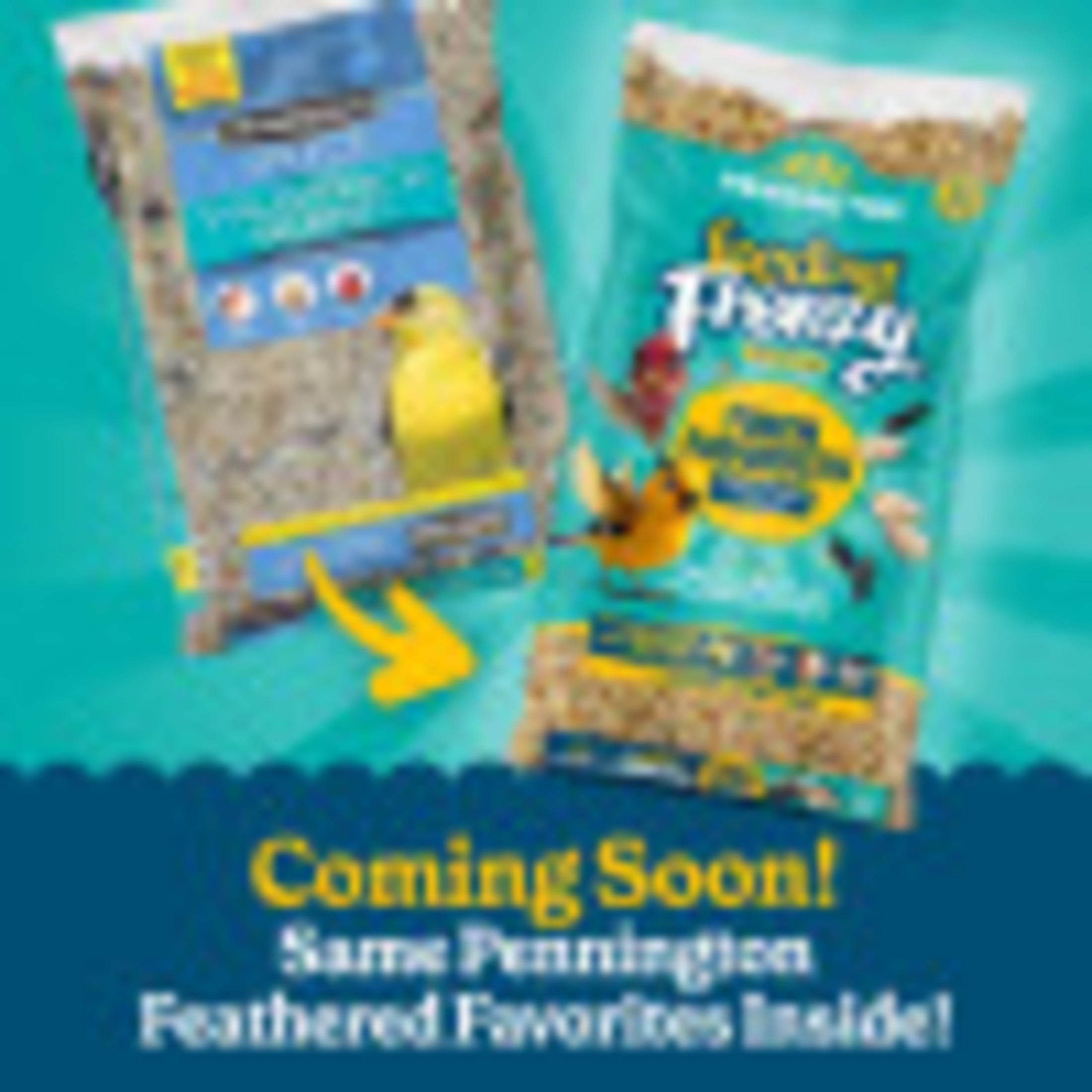 (5 pack) Pennington Recipe Selects Wild Finch Blend, Dry Wild Bird Seed and Feed, 10 lb., 1 Pack