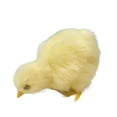 thumbnail image 1 of 4 Pcs Realistic Plush Little Chick Figurine Lifelike Furry Animal Toy Simulated Chicken Sound Photography Props Easter Chicks, 1 of 4