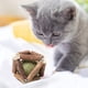 thumbnail image 5 of Juguetes con hierba gatera, herramientas de limpieza de dientes para gatitos, juguetes para masticar para gatos, 5 of 5