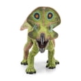 thumbnail image 6 of Protoceratops, 6 of 8