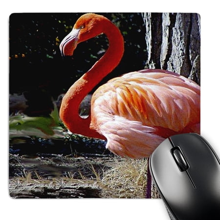 3dRose  Flamingo  MousePad price history on PriceWatchPro
