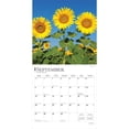 thumbnail image 4 of Sunflowers | 2026 12x24" (Hanging) Square Wall Calendar | Plastic-Free, 4 of 9
