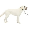 PetSafe Gentle Leader Headcollar, No-Pull Dog Collar, Large 60-130 Lb., Black
