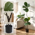 thumbnail image 2 of Easy4Home 4.6FT Artificial Plant Fake Ficus Tree Potted Indoor Faux Floor Plant for Home Office Decor, 2 of 8