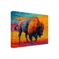 thumbnail image 2 of Marion Rose 'Spirit Of The Prairie' Outdoor All-Weather Wall Decor, 2 of 7