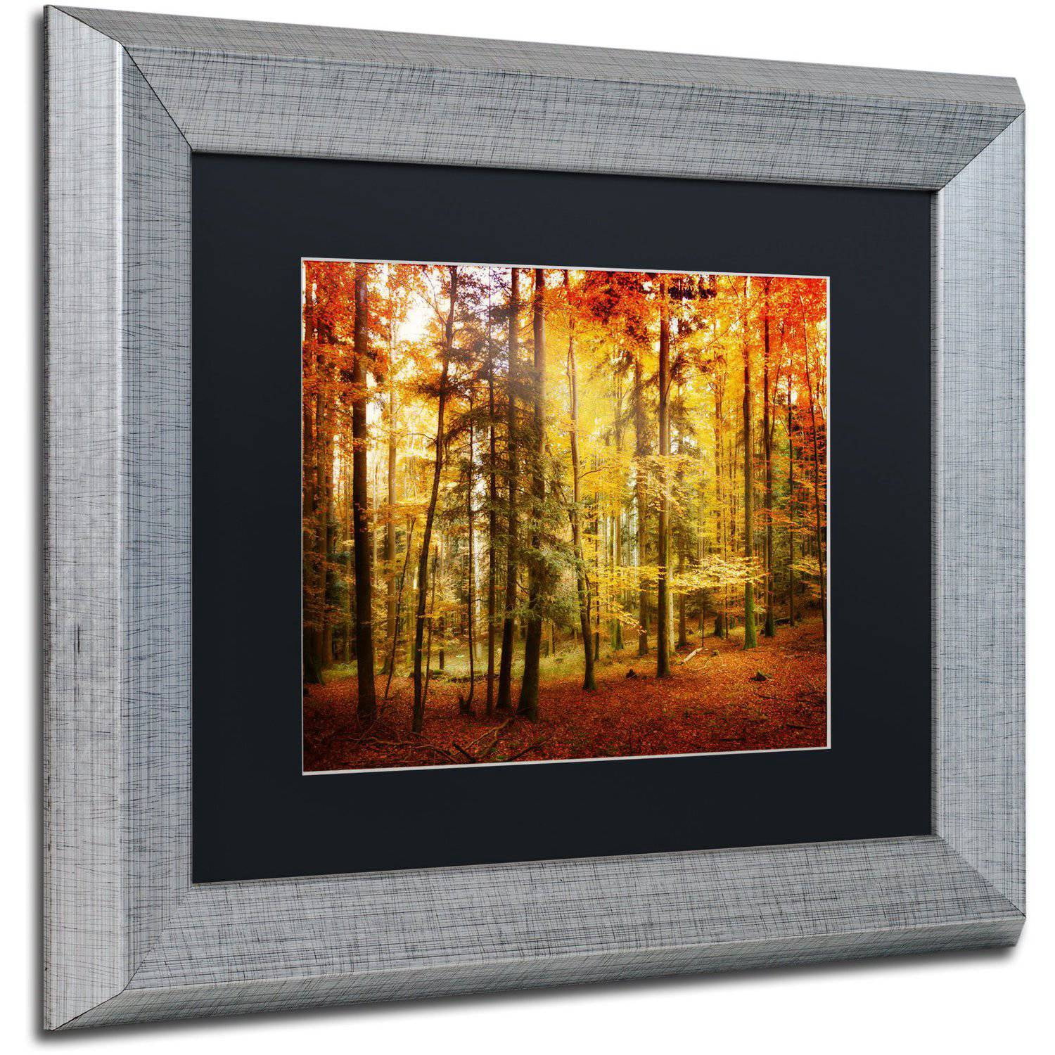 Trademark Fine Art "Fall Color" Canvas Art by Philippe Sainte-Laudy Black Matte, Silver Frame